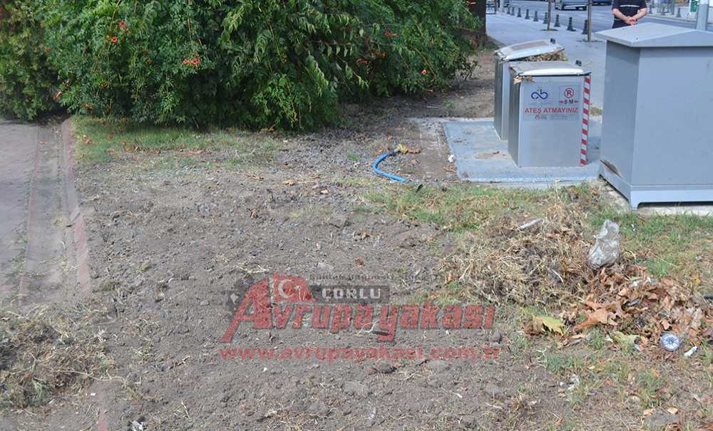 Parkta Düzenleme Çalışmaları Sürüyor