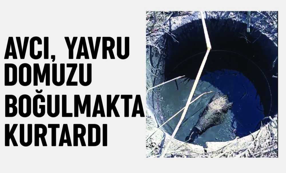 Avcı, Yavru Domuzu Boğulmaktan Kurtardı