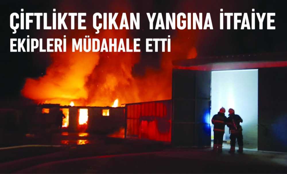 Çiftlikte Çıkan Yangına İtfaiye Ekipleri Müdahale Etti