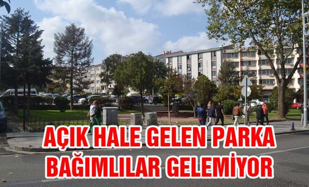 Açık Hale Gelen Parka Bağımlılar Gelemiyor