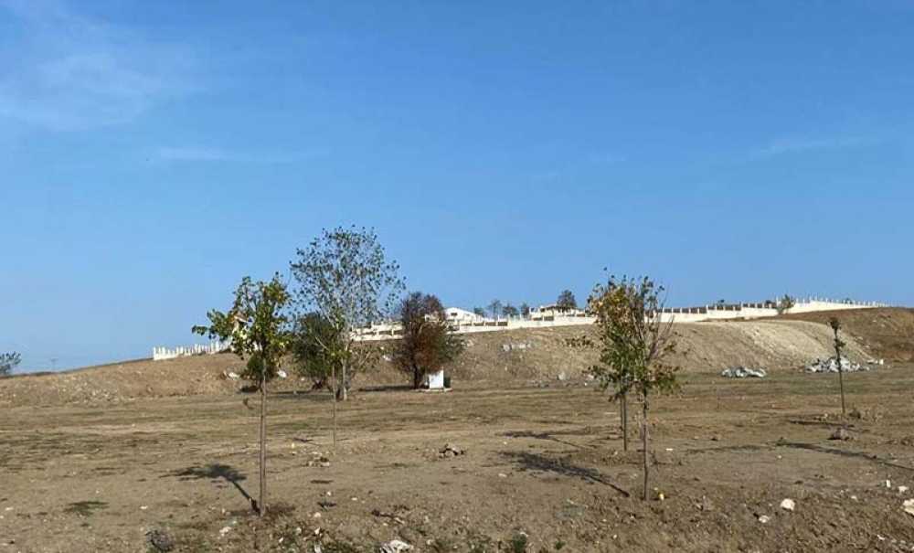 Bölgeye Yüzlerce Ağaç Dikildi