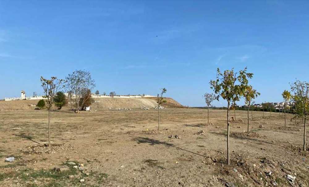 Bölgeye Yüzlerce Ağaç Dikildi