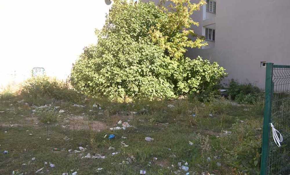 Vatandaşlar İzbelik Alandaki Ağacın Budanmasını İstedi