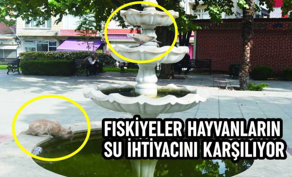 Fıskiyeler Hayvanların Su İhtiyacını Karşılıyor