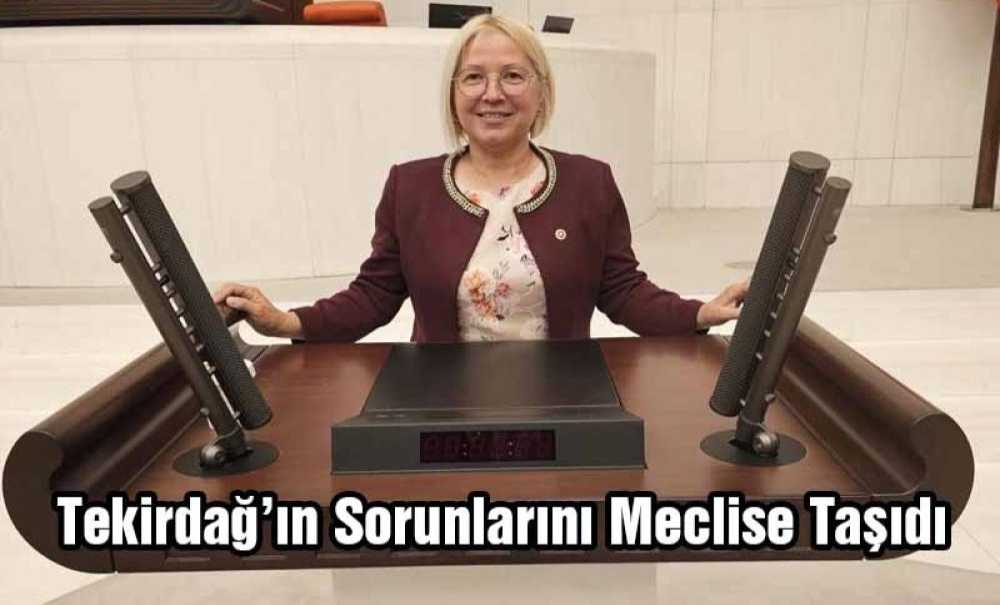 Tekirdağ'ın Sorunlarını Meclise Taşıdı