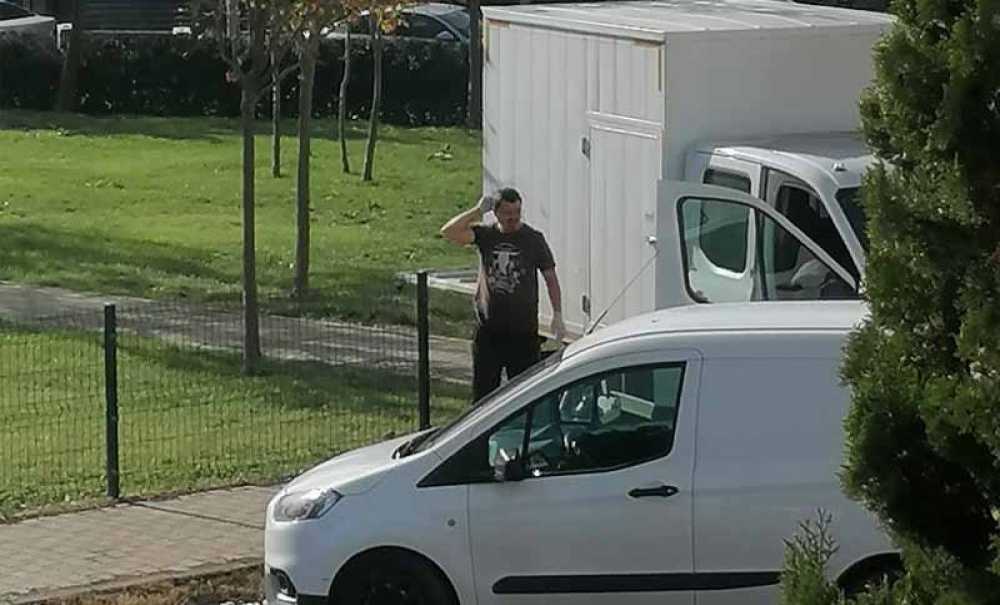 Başıboş Atları Belediye Topladı