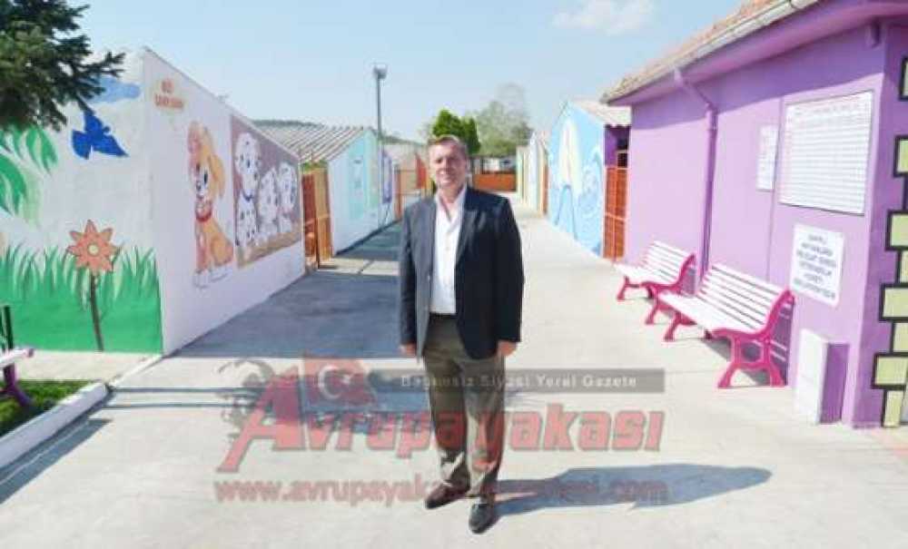 Örnek Olacak Hayvan Bakımevi