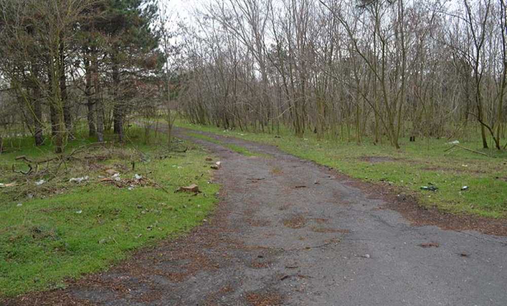 750 Dönümlük Yeşil Alan Yavaş Yavaş Ölüyor