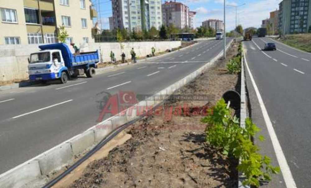 Vatandaşlardan Belediyeye Ağaç Çağrısı “Bu Ağaçları Dikmeyin”