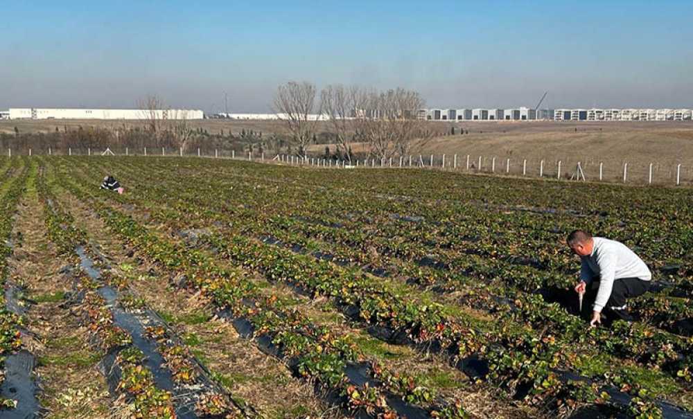 Yeni Sezon Hazırlıkları Başladı