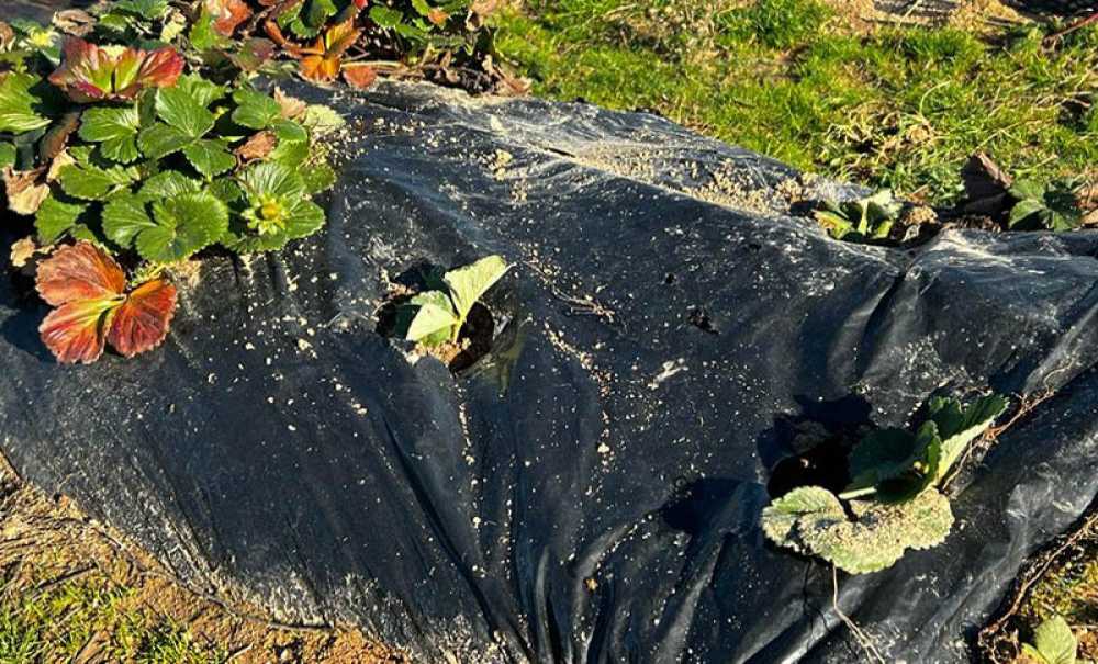 Yeni Sezon Hazırlıkları Başladı