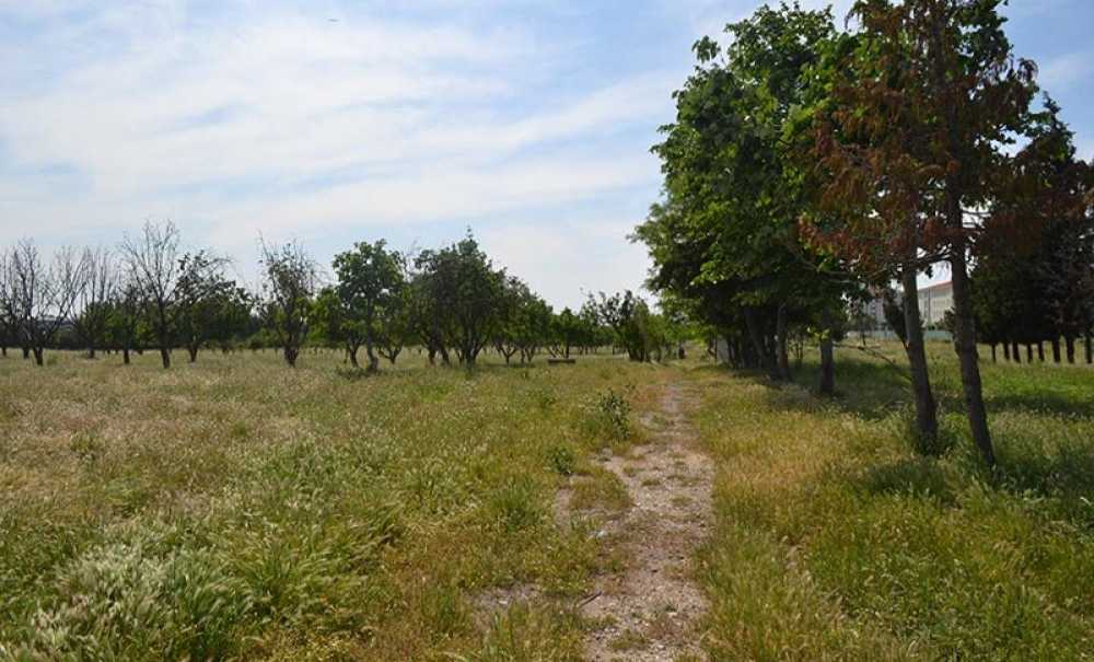 Çorlu'nun Yeşil Alanları Bu Yılda Atıl Kaldı