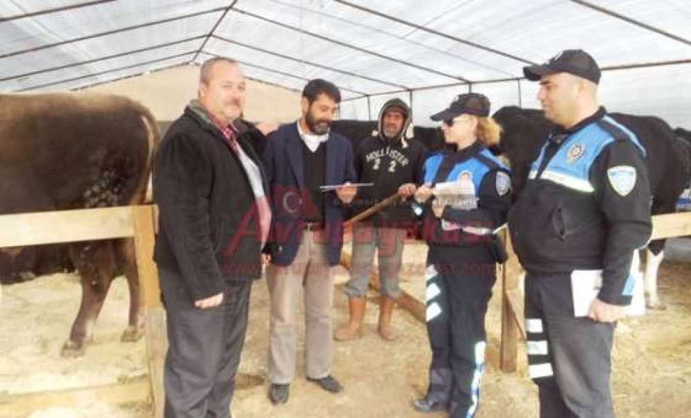 Tdp`den Dolandırıcılık Bilgilendirmesi