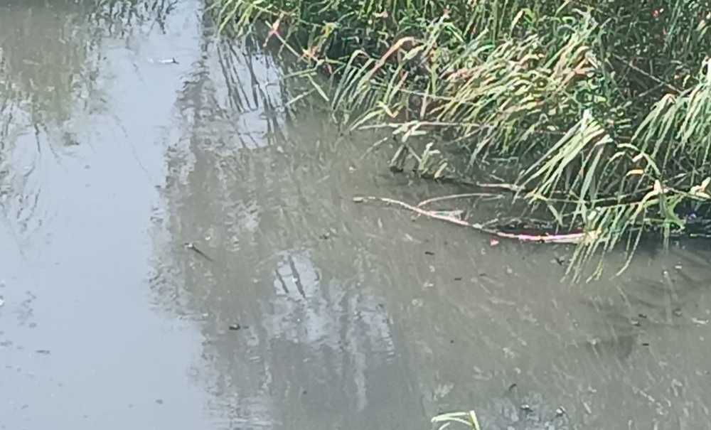 Seymen Deresi'nde Değişen Bir Şey Yok!