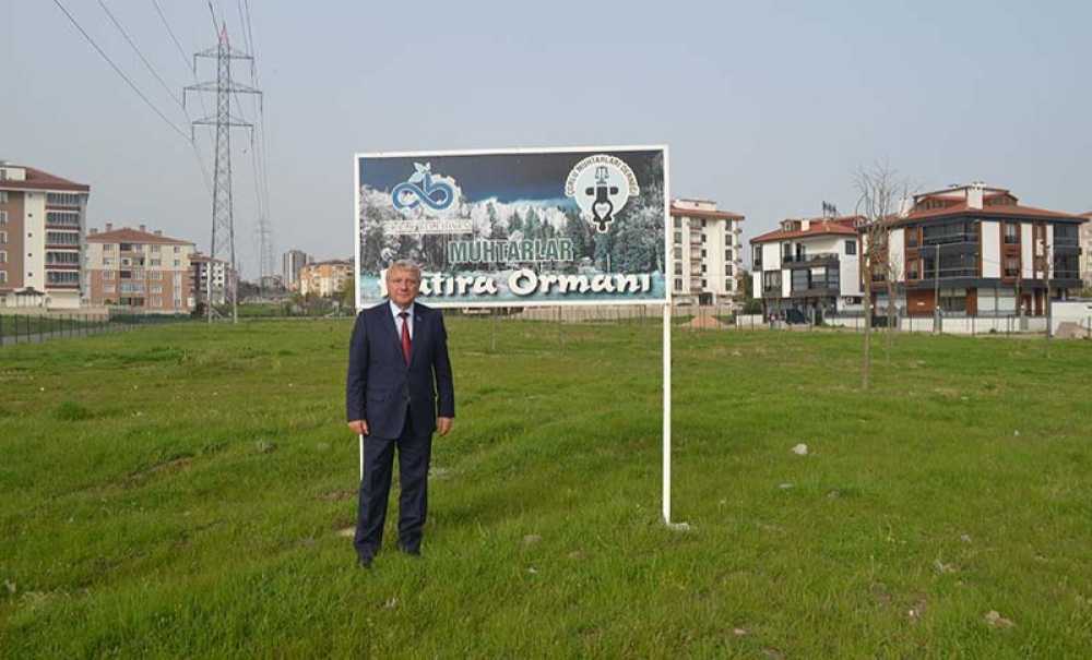 Muhtarlar Ormanı Sosyal Alan Yapılabilir!