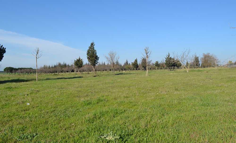 Tema Seçi̇m Vaadleri̇nde Mi̇ Kalacak!