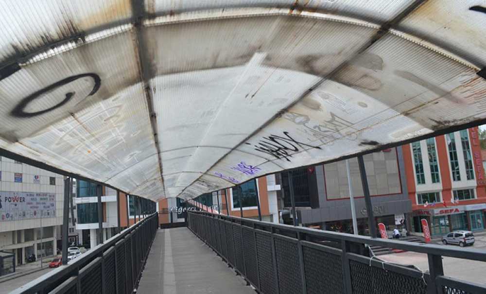 Bu Görüntüler Tepki Çekiyor