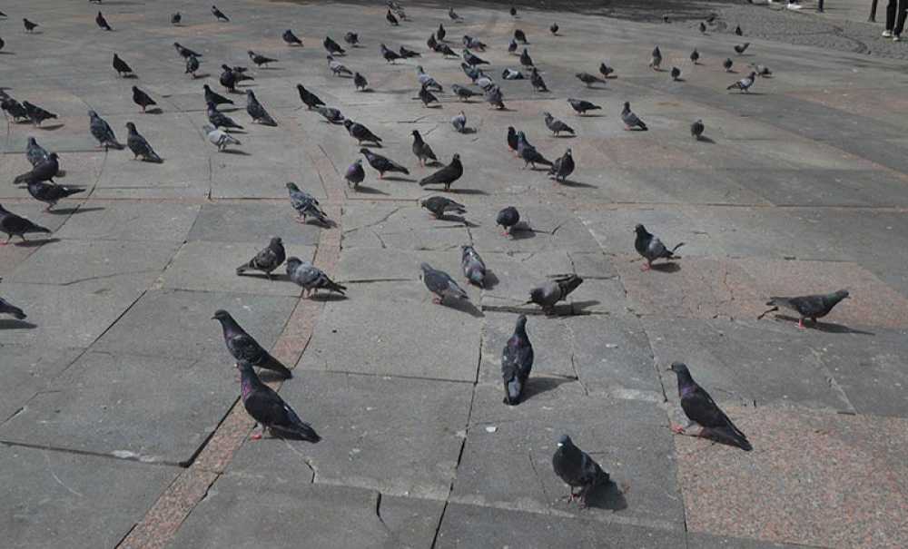 Cumhuriyet Meydanı İlgi Bekliyor