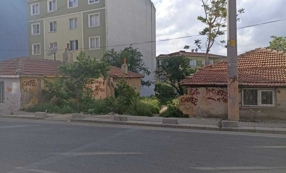 Hıdırağa Mahallesi'nde Kene Paniği