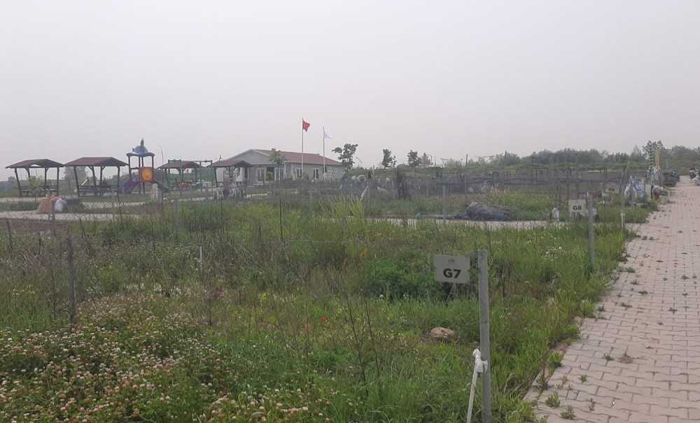 Hobi Bahçesi'nde Hareketlilik Başladı