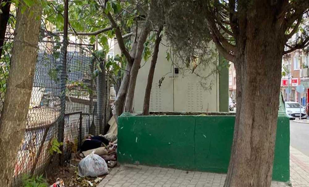 Aylardır Türbenin Yanında Yatıp Kalkıyor!