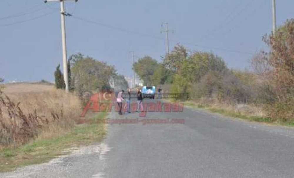 Kaçan Kurbanlıklar Heyecanlandırdı