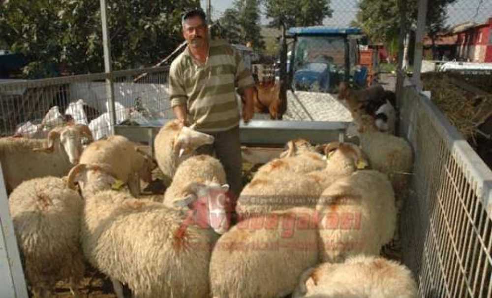 Kurban Pazarlarında Son Gün De Hareketlilik Vardı