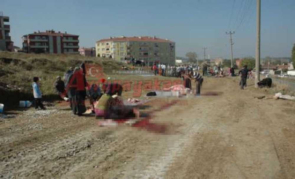 Cezalar Da Caydırmıyor