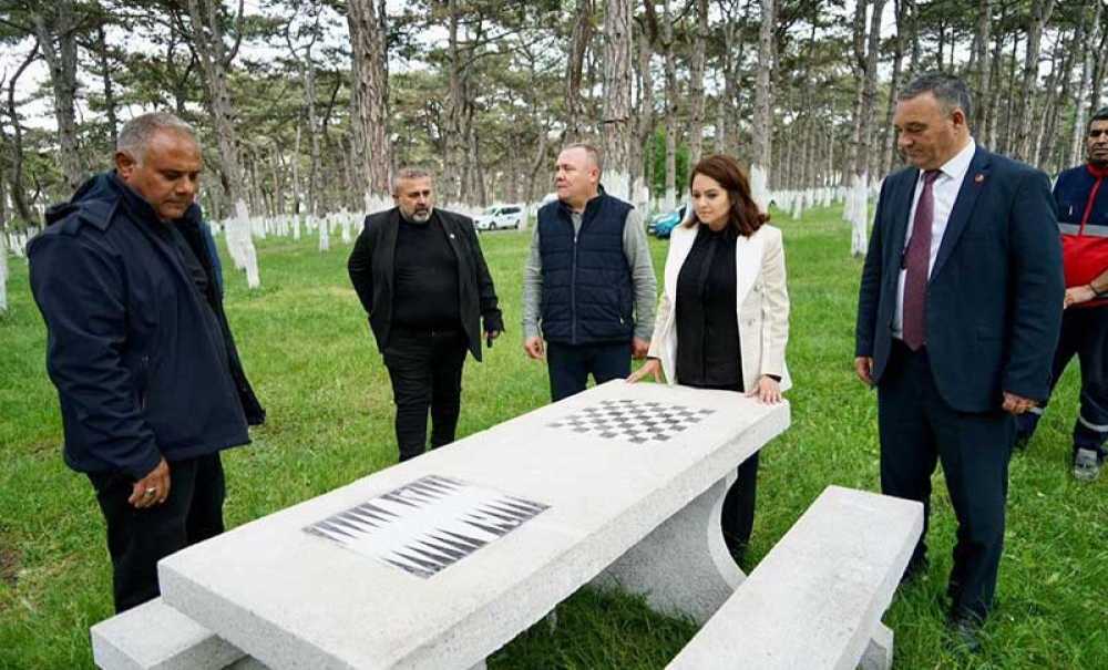 Ulaş Çamlık Mesire Alanı Yaza Hazırlanıyor