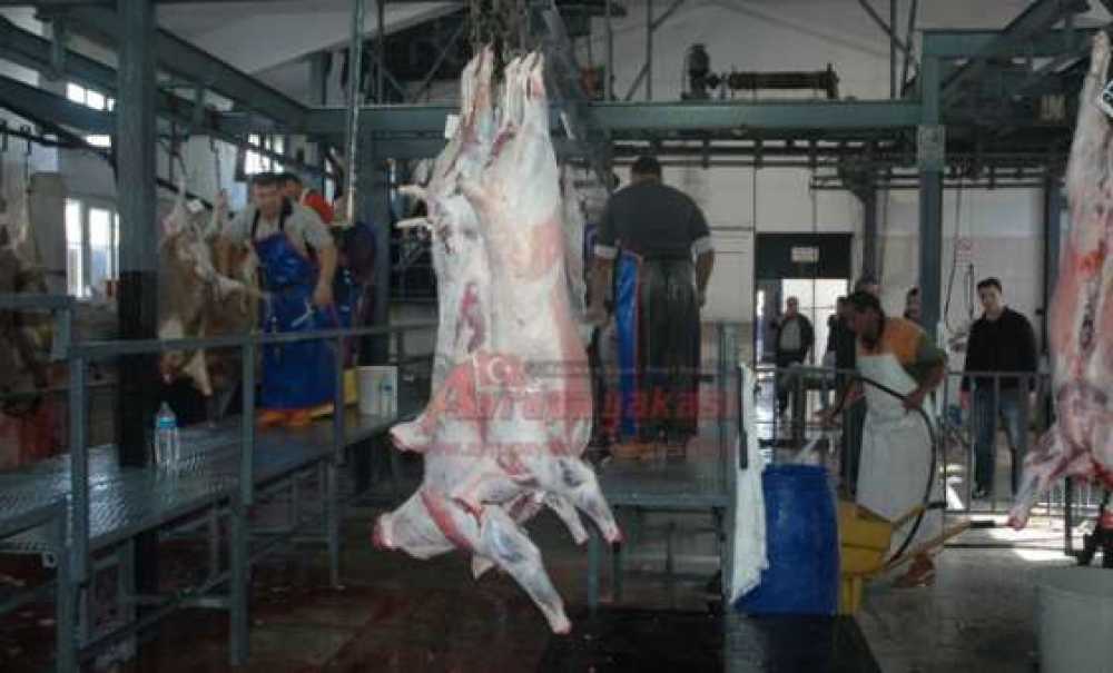 Çorlu Mezbahasında Modern Kesim