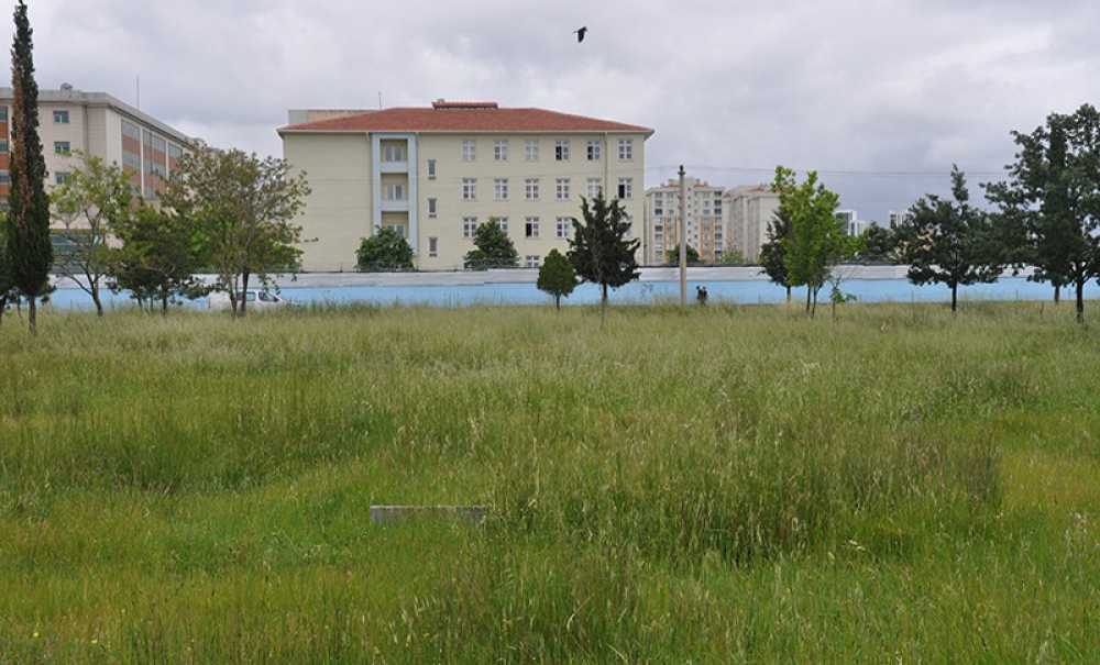 Tema Parkı'nda Piknik Festivali Düzenlenecek