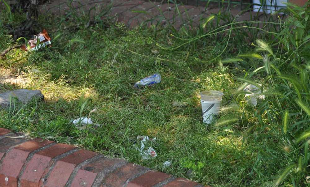 Yaz Geldi Parklar Yine Çöplük Oldu