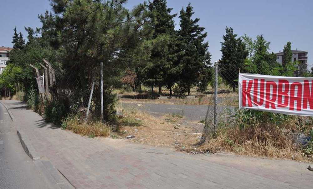 En Sonunda Bahçe Oldu