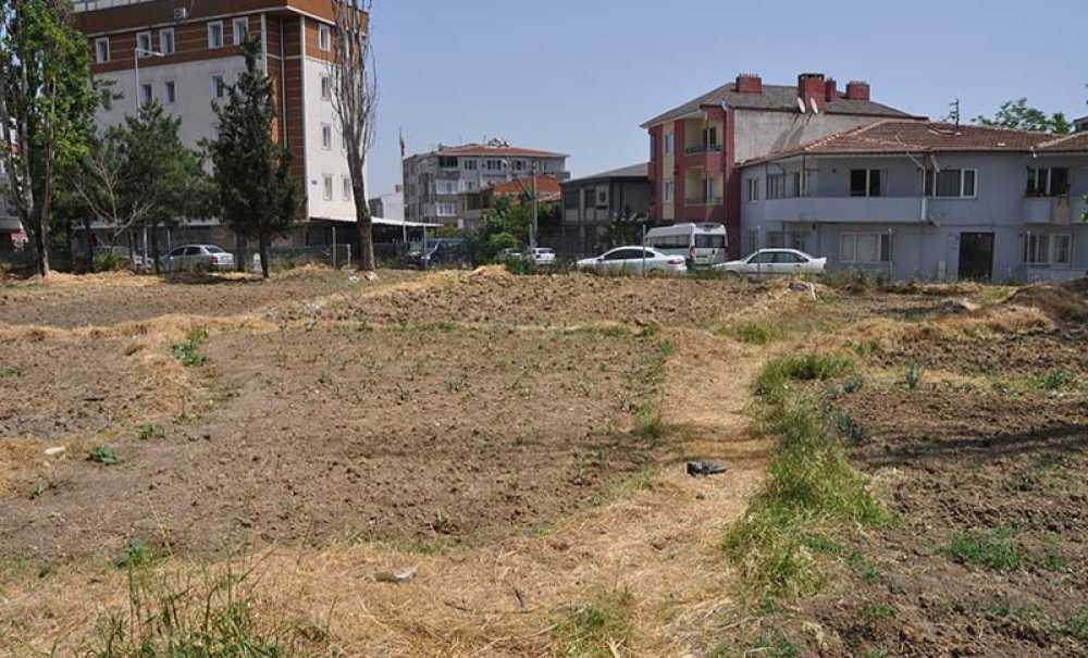 En Sonunda Bahçe Oldu