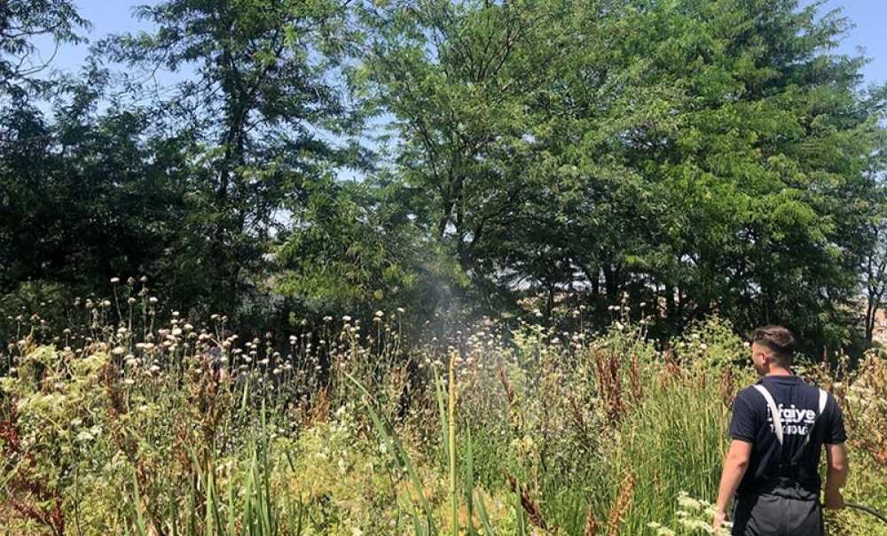 Kurumuş Otlar Yangına Neden Oluyor