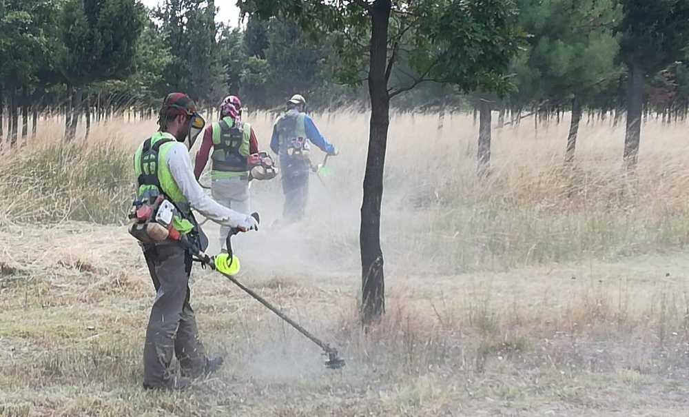 Çorlu Belediyesi Yaz Dönemine Hazır