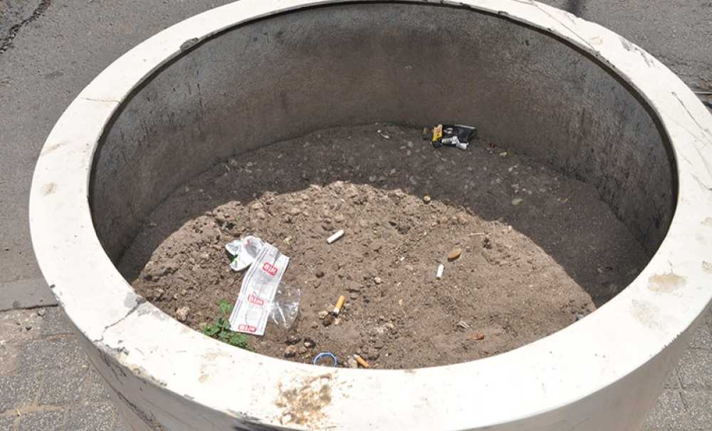 Belediyenin Saksıları İlgi Bekliyor!