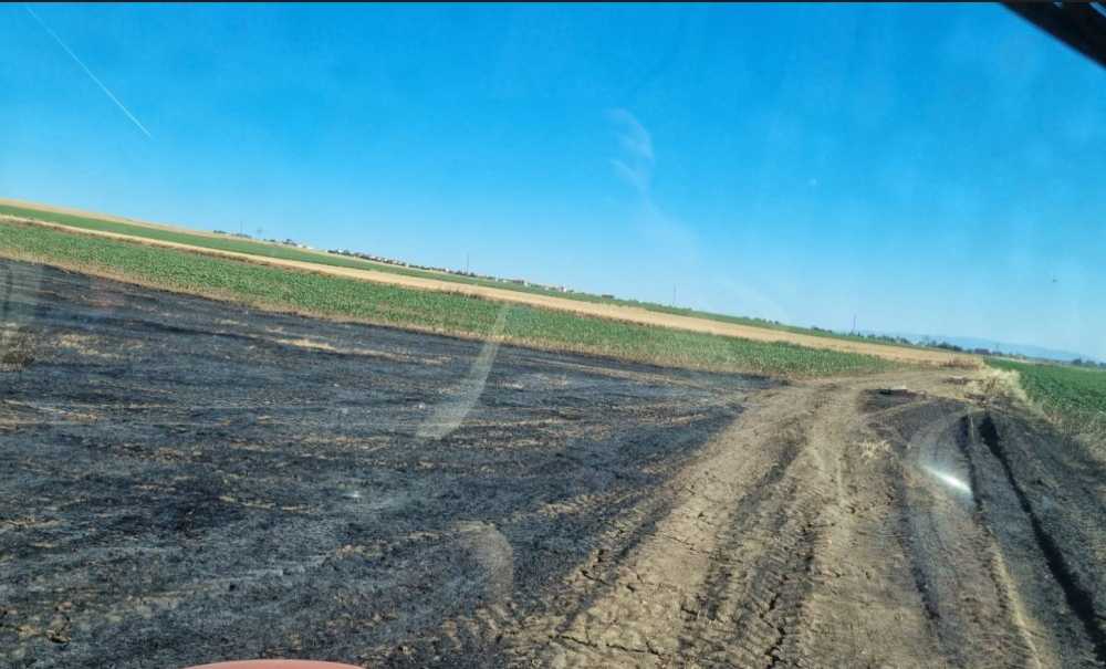 Buğday Tarlası Yangınları Çiftçinin Korkulu Rüyası