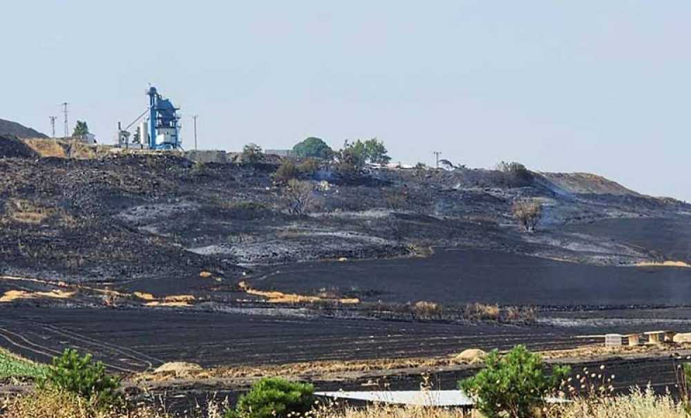 900 Dönümlük Alan Küle Döndü