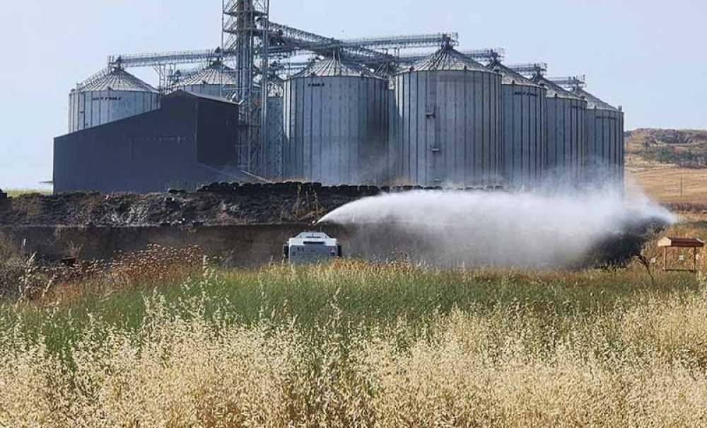 900 Dönümlük Alan Küle Döndü