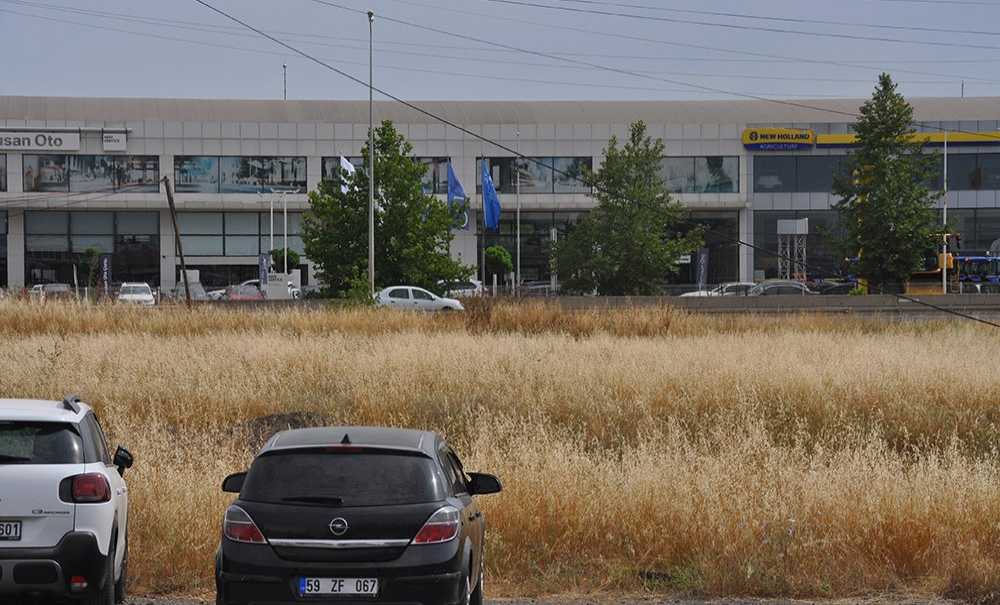 Yol Kenarındaki Kurumuş Otlar Tehlike Yaratıyor