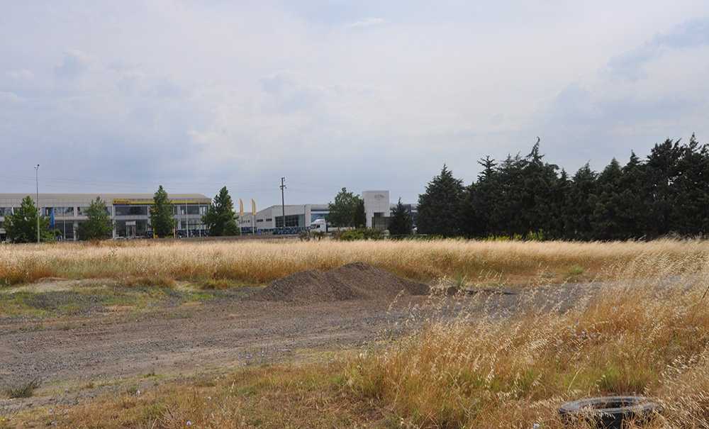 Yol Kenarındaki Kurumuş Otlar Tehlike Yaratıyor