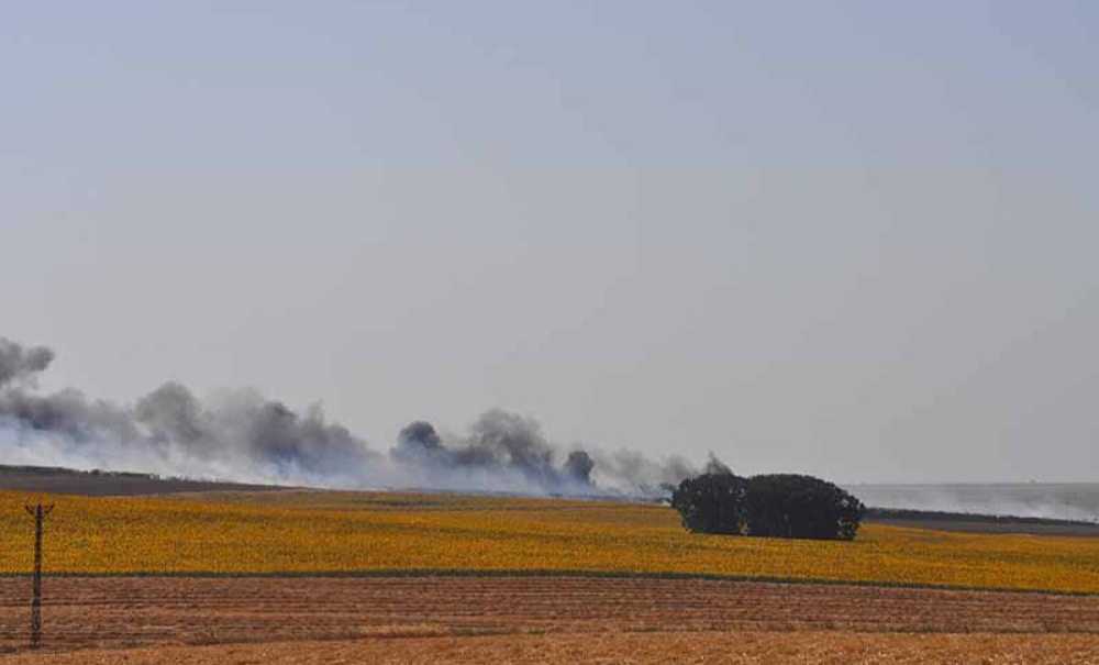 Sarılar Mahallesi'nde Anız Yangını