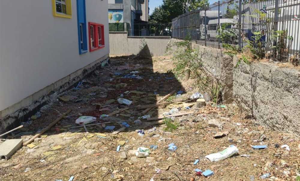 Okul Bahçesindeki Ağaçların Kesilmesine Tepki