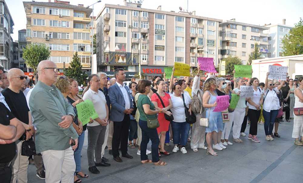 Yine Koku, Yine Eylem