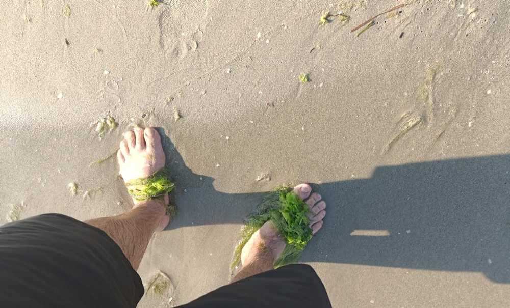 Marmara Denizine Yosundan Girilmiyor!