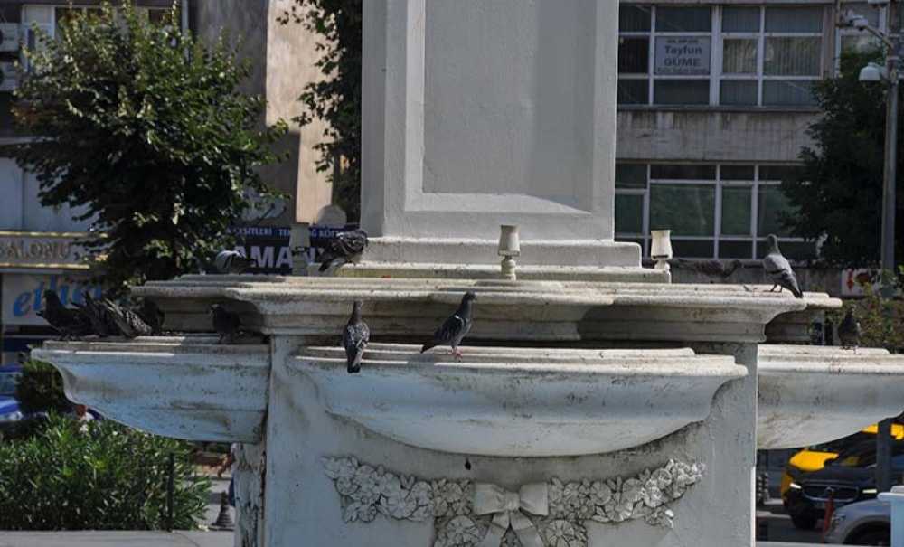 Yaz Sıcağında Güvercinler Susuz Kalıyor!