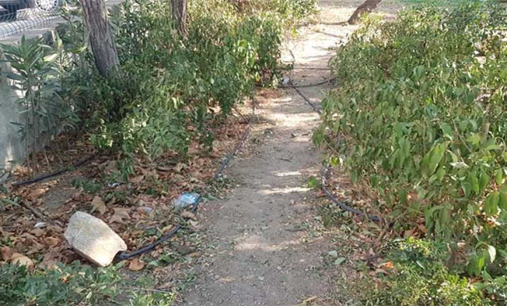 Parklar Pis Ve Bakımsız