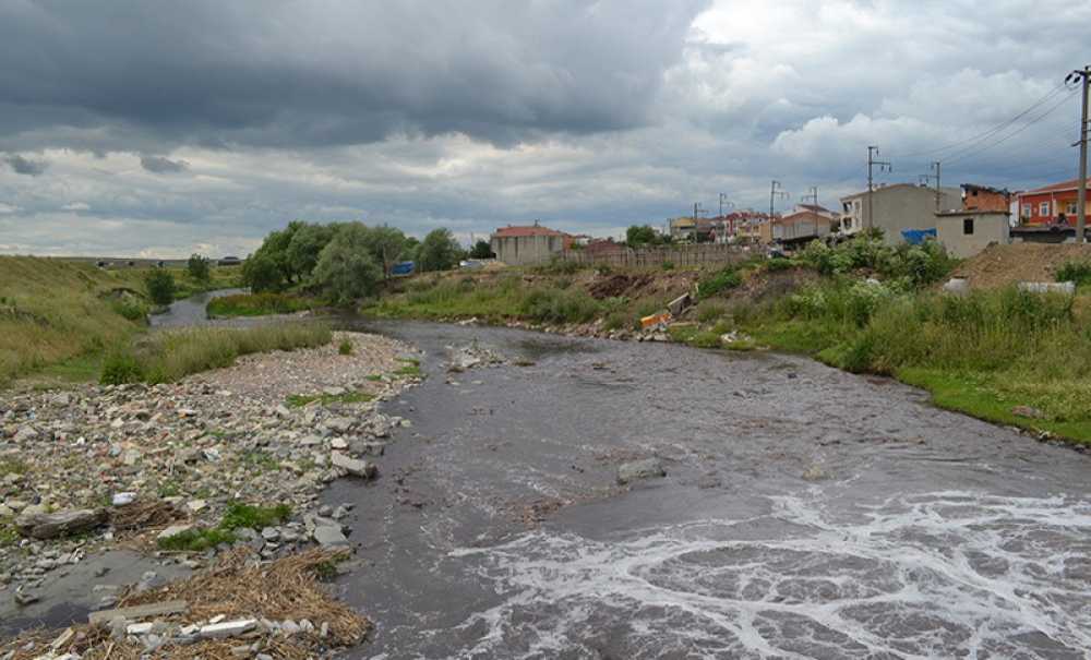 Ergene Nehri Ne Zaman Bu Görüntüden Kurtulacak?