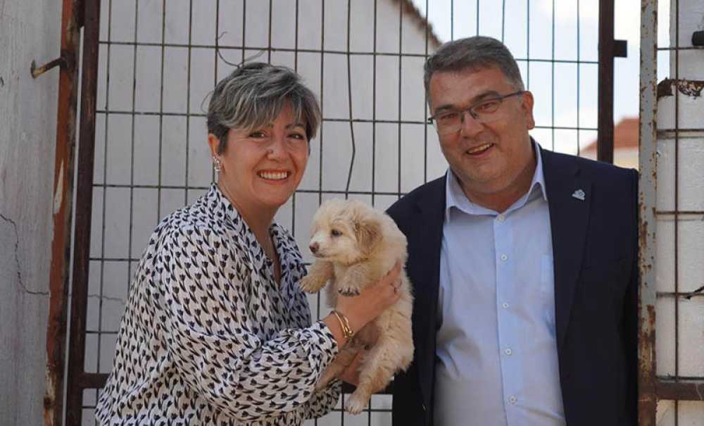 Başkan Vekili Üntürk Çalışmalarıyla Dikkat Çekiyor